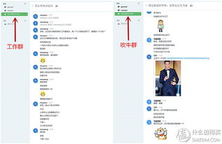 原創新人省小錢辦大事 群暉DS216 II網絡存儲NAS服務器搭建數據中心靠譜嗎？